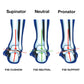 foot biomechanics