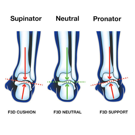 Advanced F3D Insole